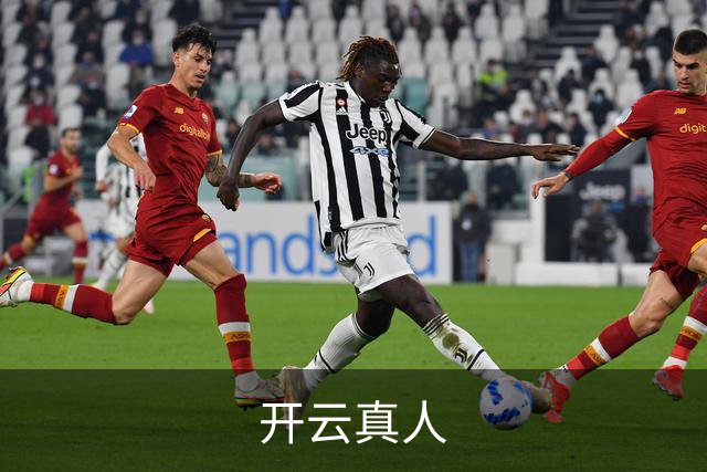 开云真人公司介绍